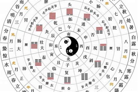 庚五行|十天干、十二地支与五行 、六十甲子基本知识